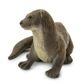 Safari Ltd River Otter North American Wildlife