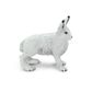 Safari Ltd Arctic Hare North American Wildlife