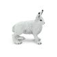 Safari Ltd Arctic Hare