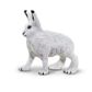 Safari Ltd Arctic Hare