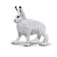 Safari Ltd Arctic Hare North American Wildlife