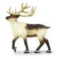 Safari Ltd Reindeer North American Wildlife