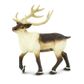 Safari Ltd Reindeer North American Wildlife