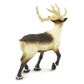 Safari Ltd Reindeer North American Wildlife