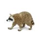 Safari Ltd Raccoon North American Wildlife