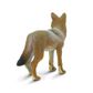 Safari Ltd Coyote North