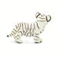 Safari Ltd White Bengal Tiger Cub