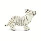 Safari Ltd White Bengal Tiger Cub WildSafari Wil*