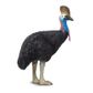 Safari Ltd Cassowary