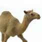Safari Ltd Dromedary Camel Wild SafariWildlife