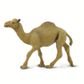 Safari Ltd Dromedary Camel Wild SafariWildlife