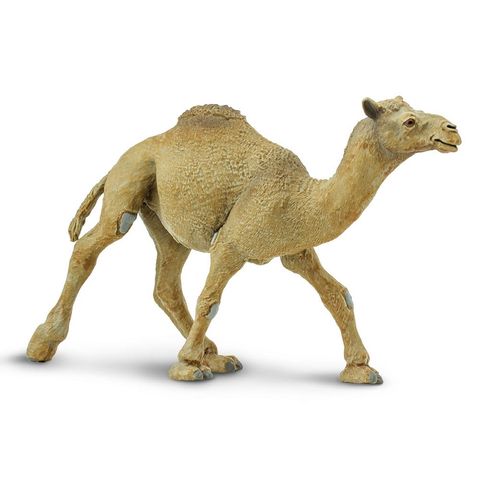 Safari Ltd Dromedary Camel