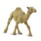 Safari Ltd Dromedary Camel Wild SafariWildlife