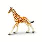 Safari Ltd Reticulated Giraffe Baby Wild Safari Wi