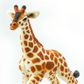 Safari Ltd Reticulated Giraffe Baby Wild Safari Wi
