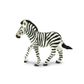 Safari Ltd Zebra Foal