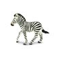 Safari Ltd Zebra Foal Wild Safari Wildlife