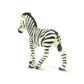 Safari Ltd Zebra Foal Wild Safari Wildlife