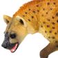 Safari Ltd Hyena