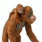 Safari Ltd Orangutan with Baby