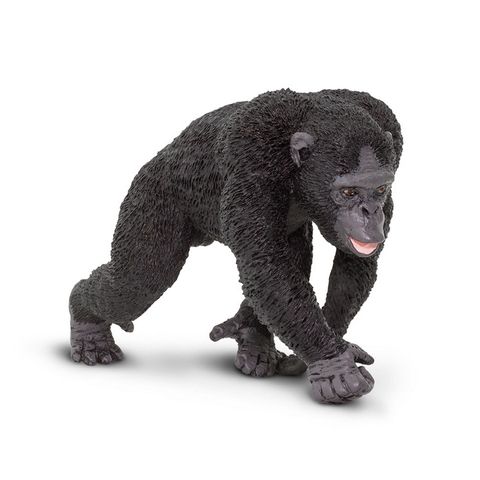 Safari Ltd Chimpanzee