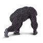Safari Ltd Chimpanzee