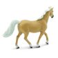 Safari Ltd Palomino Mustang Stallion WcHorses