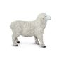 Safari Ltd Sheep