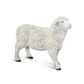 Safari Ltd Sheep