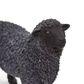 Safari Ltd Black Sheep