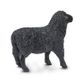 Safari Ltd Black Sheep