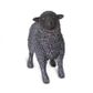 Safari Ltd Black Sheep