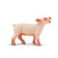 Safari Ltd Piglet