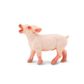 Safari Ltd Piglet