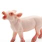 Safari Ltd Piglet