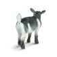 Safari Ltd Pygmy Nanny Goat