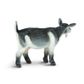 Safari Ltd Pygmy Nanny Goat
