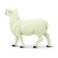 Safari Ltd Ewe