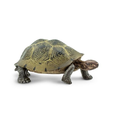 Safari Ltd Desert Tortoise North American Wildlife