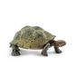 Safari Ltd Desert Tortoise North American Wildlife