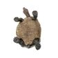 Safari Ltd Desert Tortoise North American Wildlife