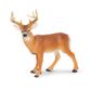 Safari Ltd Whitetail Buck North American Wildlife*