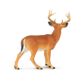 Safari Ltd Whitetail Buck North American Wildlife*