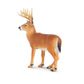 Safari Ltd Whitetail Buck North American Wildlife*