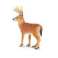 Safari Ltd Whitetail Buck
