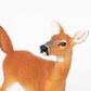 Safari Ltd Whitetail Doe North AmericanWildlife