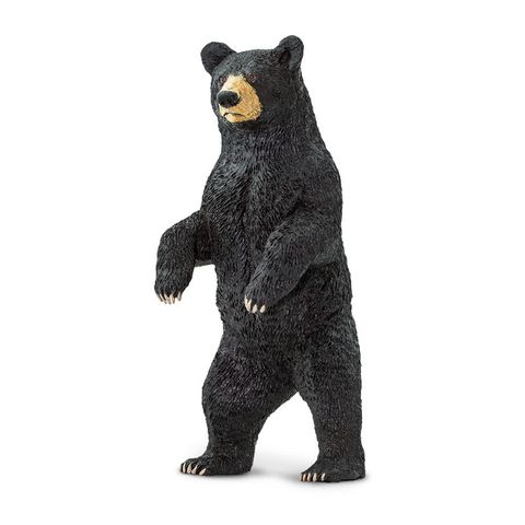 Safari Ltd Black Bear