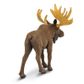 Safari Ltd Moose North American Wildlife *