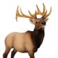 Safari Ltd Elk Bull North American Wildlife