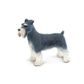 Safari Ltd Schnauzer Best In Show